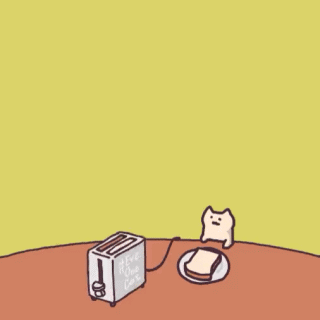 猫咪面包机（cr: EveOneCat ） - EveOneCat gif 动图表情包