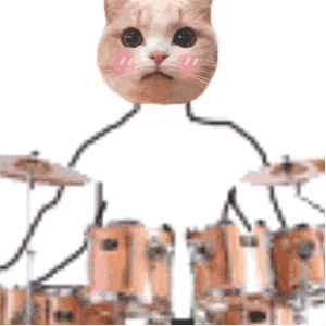 猫咪打架子鼓 - 猫咪演奏乐器沙雕动图