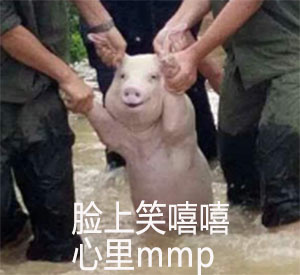 脸上笑嘻嘻 心里 mmp - 一只被救的猪，做成表情包更好笑了哈哈哈_猪表情